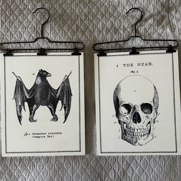 Halloween Decor - Picture 1 of 1